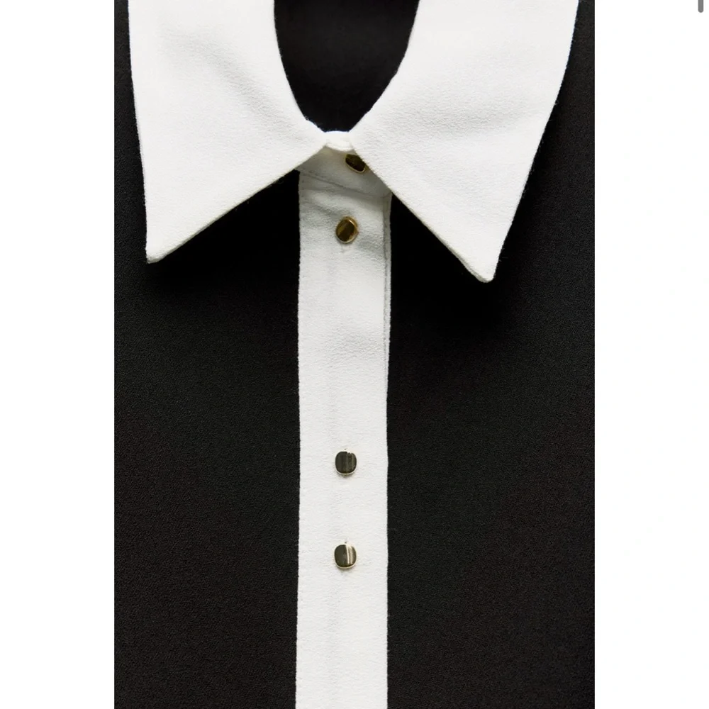 Zara Collared Dress - Picture 6 of 7